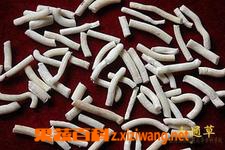 轻粉的功效和作用