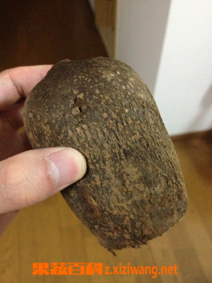 山药的药用价值