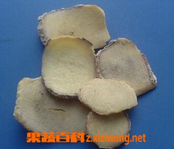 白附子的功效和作用