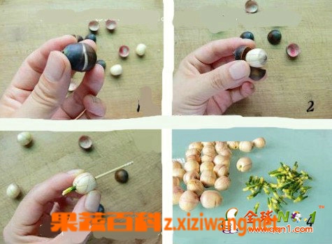 莲子心的功效