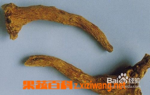 麻黄根的功效与作用