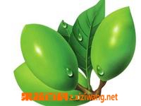 青皮是什么 青皮的功效与作用有哪些