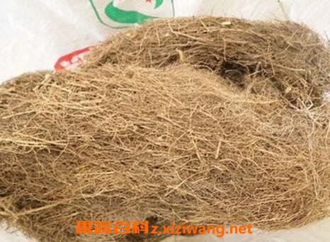 柳根的营养价值和药用价值