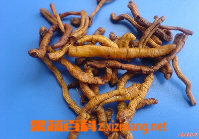 远志的功效与作用 远志真假辨别方法