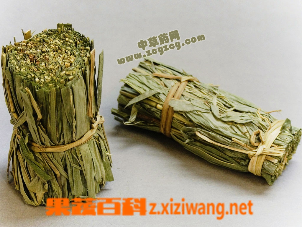 淡竹叶是什么 淡竹叶的功效与作用