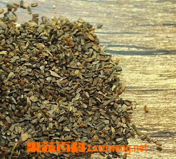 茺蔚子的功效与作用 中药茺蔚子的食用禁忌