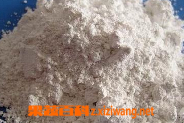 珍珠粉的功效与作用