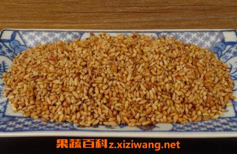 柏树籽的作用 柏树籽的药用价值