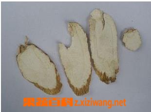 白芷养颜美容的功效与作用