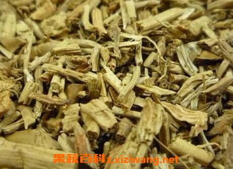 野薏米根的功效与作用及禁忌