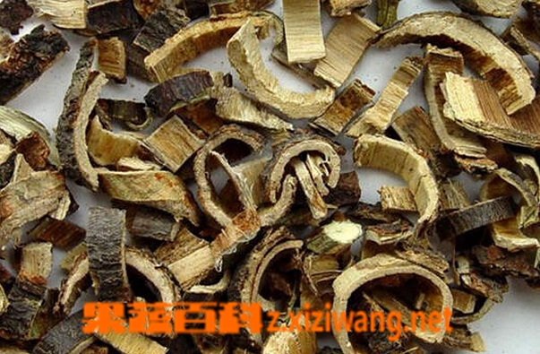 合欢皮的功效与作用及食用方法