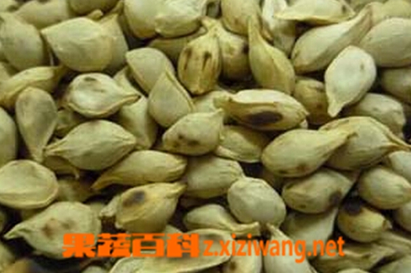 橘核的功效与作用