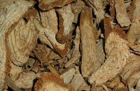 商陆根的功效与作用 商陆根的药用价值