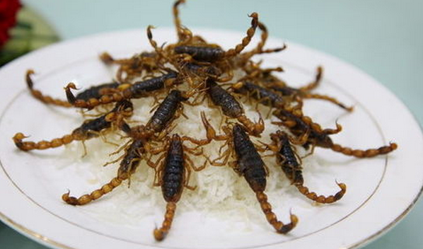全虫的食疗功效 全虫的食疗秘方