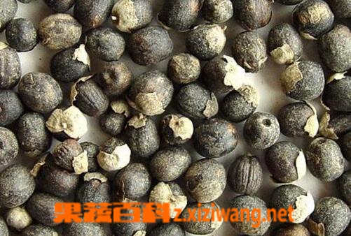 中药蔓荆子的功效与用法