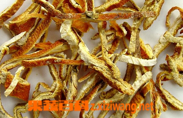 中藥陳皮的功效與作用