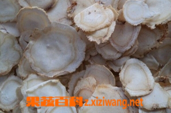 人参片的功效与作用