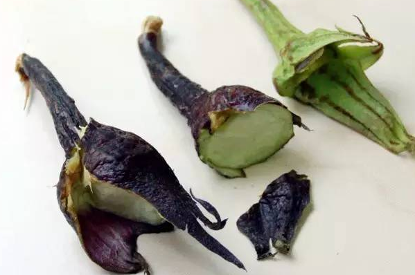 茄蒂的功效与作用 茄蒂的药用价值
