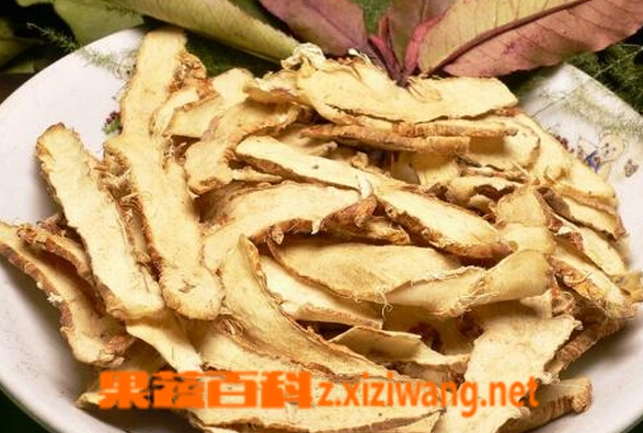 知母的功效与作用 中药知母的药用价值