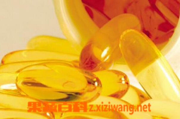 深海鱼油的功效与作用
