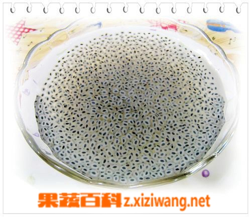 兰香子的功效与作用