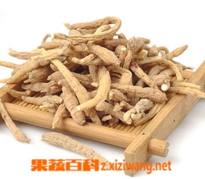 太子参图片 太子参的功效与作用