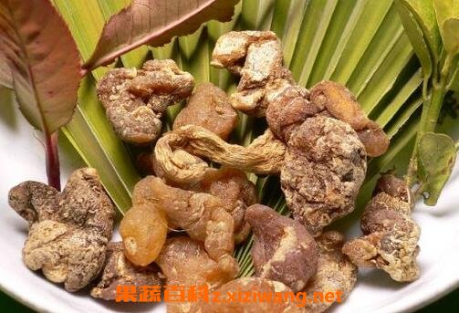 黄精的功效与作用 黄精的药用价值