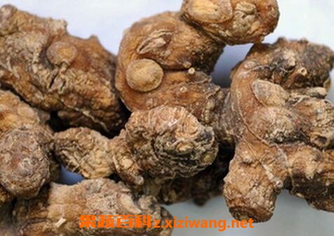黄精的功效与作用 黄精的药用价值