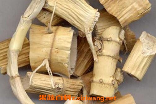竹茹芦根的功效与作用及禁忌