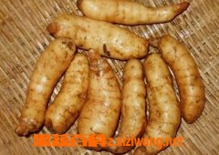 鲜野生天麻怎么吃
