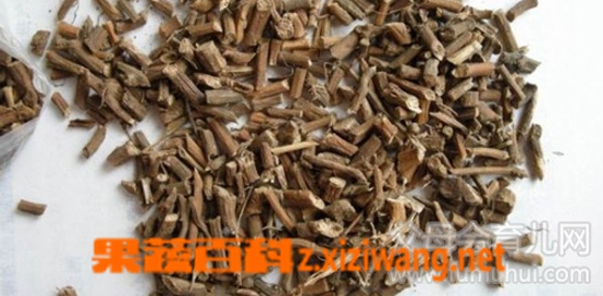 北柴胡的功效与作用