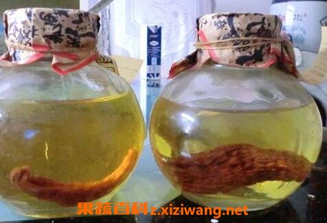 天麻怎么吃 天麻的吃法技巧