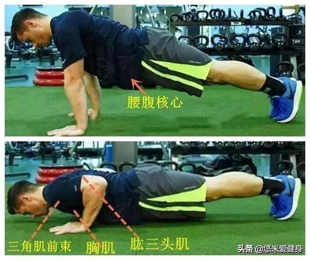 每天100个俯卧撑坚持1个月后会有什么结果?