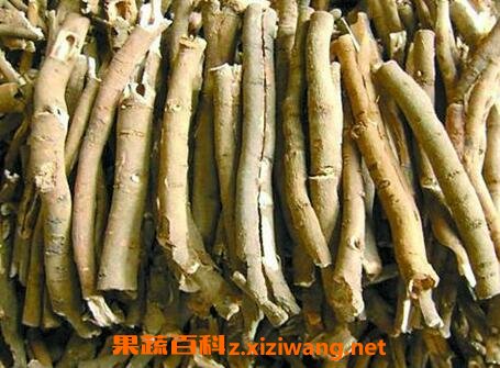 牡丹皮的功效与作用及禁忌