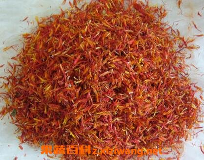 伊朗红花与藏红花的区别
