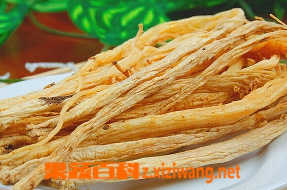 中药党参的功效与作用