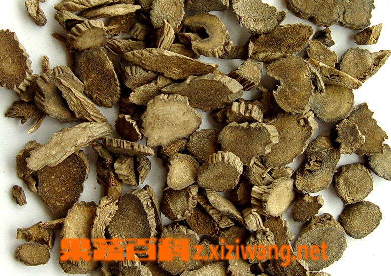 牛膝的作用和功效
