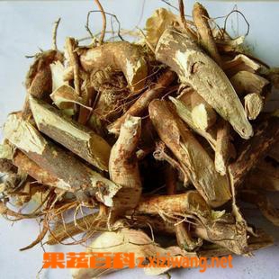 五指毛桃的功效与作用