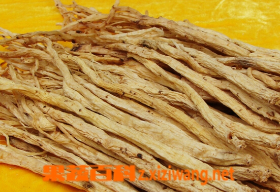 山萝卜的功效与作用