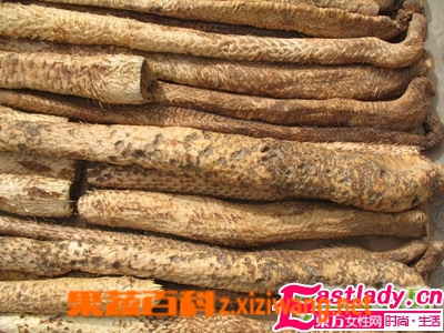 肉苁蓉的副作用