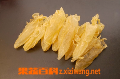 花胶的功效与作用及食用方法