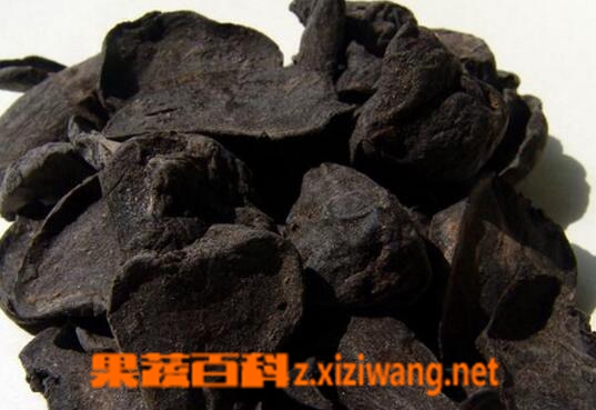 中药黑附子的功效与作用