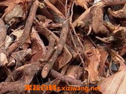 中药稔子根的功效与作用