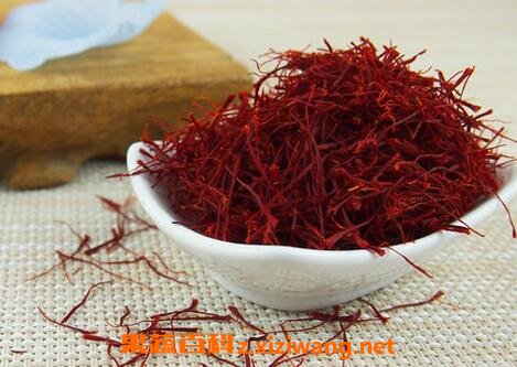 藏红花图片 藏红花的功效与作用
