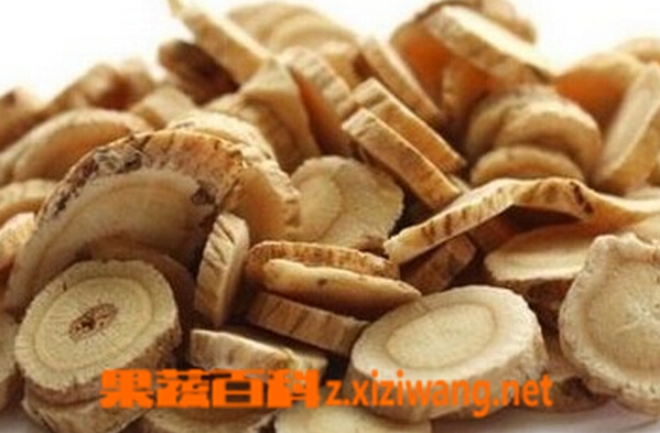 红芪的功效与作用