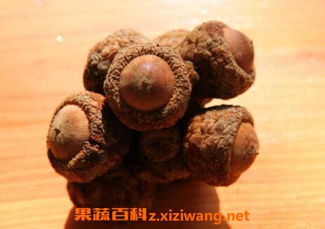 风流果的功效与作用 风流果的副作用