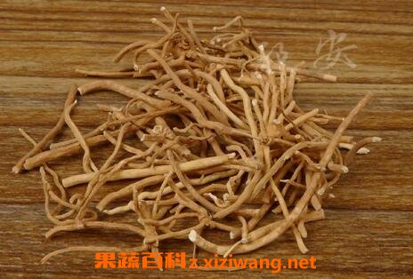 中药徐长卿的性味归经 功效作用及应用