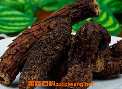 肉苁蓉的功效与作用及禁忌