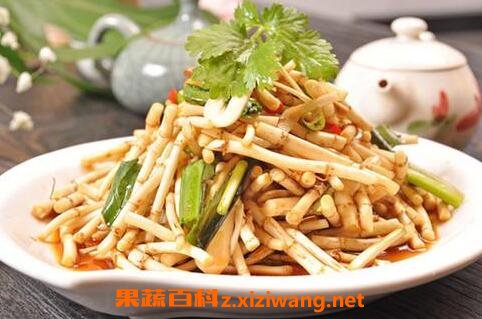 鱼鲜草的功效与作用 鱼鲜草的药用价值