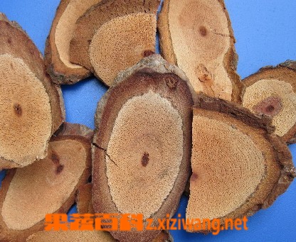 海风藤的功效与作用